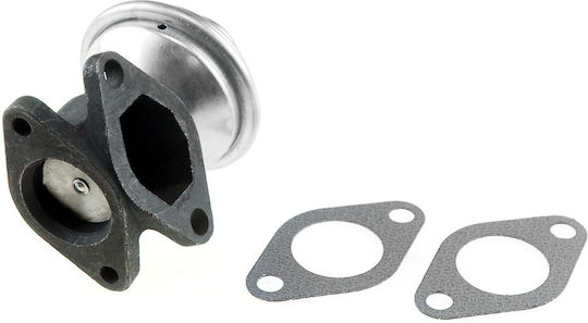 NTY AGR-Ventil Auto Engine Ventile für Renault Laguna