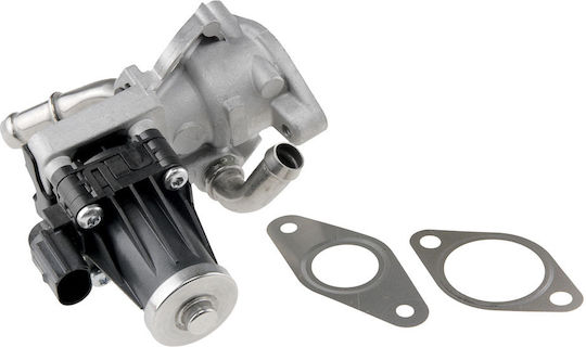 NTY Вентил EGR Кола за Peugeot Boxer Citroen Jumper Volkswagen Up Ford Ranger / Tourneo Custom / Transit / Transit Custom / Tourneo Land Rover Defender