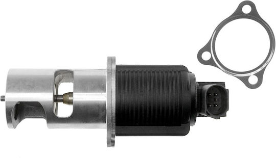 NTY Вентил EGR Кола за Opel Vivaro Renault Avantime / Espace / Laguna / Master / Trafic / Vel Satis Nissan Interstar