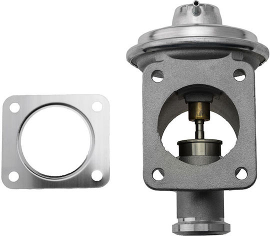 NTY AGR-Ventil Auto Engine Ventile für BMW X5