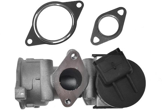 NTY Вентил EGR Кола за Peugeot 307 / 308 / 407 / 508 / 607 / 807 / Expert / Expert Tepee Fiat Scudo / Ulysse Citroen C4 / C4 Grand Picasso / C4 Picasso / C5 / C8 / Jumpy Volvo C30 / C70 / S40 / S80 / V50 / V70 Ford C-Max / Focus C-Max / Focus / Galaxy / Kuga / Mondeo / S-Max Alfa Romeo Mito Lancia Phedra