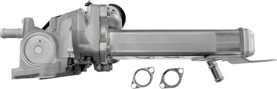 NTY Вентил EGR Кола за Volkswagen Amarok