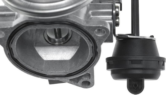 NTY Car EGR valve για Seat Ibiza / Leon / Toledo Skoda Octavia Volkswagen Bora / Golf Audi A3