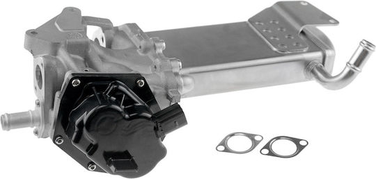 NTY Вентил EGR Кола за Volkswagen Amarok / Golf