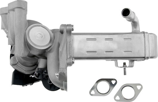 NTY Вентил EGR Кола за Peugeot 3008 / 308 / 407 / 5008 / 508 / 807 / Expert / Expert Tepee / RCZ Citroen C4 Grand Picasso / C4 / C4 Picasso / C5 / C8 / DS4 / DS5 / Jumpy Ford Focus / Galaxy / Grand C-Max / Kuga / Mondeo / S-Max