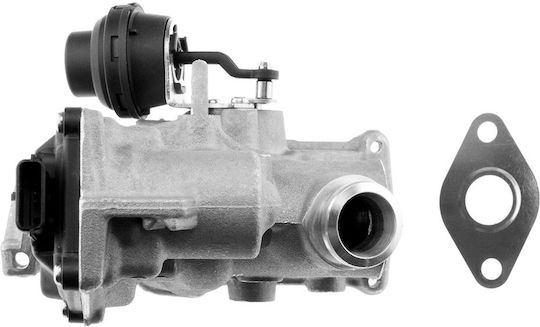 NTY Car EGR valve για Suzuki Grand Vitara Renault Grand Scenic / Laguna / Megane / Scenic Audi A6