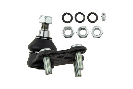NTY Set Stoßdämpfer 1Stück für Renault Coupé Seat Cordoba / Ibiza / Toledo / Mii Skoda Fabia / Citigo / Schnell / Raumster / E-Commerce-Website Hyundai Coupé Volkswagen Polo / Fuchs Audi A1 Lexus Online-Handel
