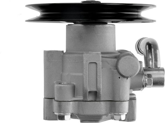 NTY Servolenkungspumpe Auto für Skoda Abholung Nissan Navara / Abholung Dacia Abholung Isuzu Abholung