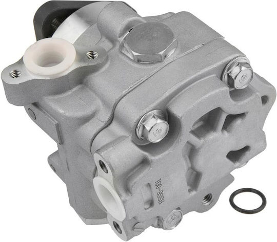 NTY Power Steering Pump Car for Seat Exeo