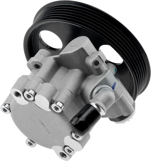 NTY Power Steering Pump Car for Renault Clio / Megane / Scenic / Kangoo / Express / Thalia Ford Express Dacia Duster / Logan / Logan MCV / Logan Pick-Up / Sandero Chevrolet Express