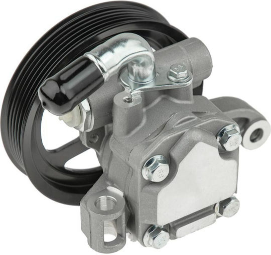 NTY Servolenkungspumpe Auto für Chevrolet Durchqueren