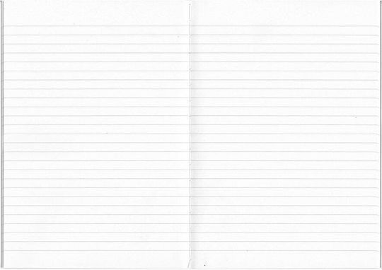 Apica Notebook Carnet 28 Foi A5 Cu dungi Roșu