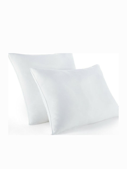 La Redoute Interieurs Essentiel Bed Pillow Cotton Made 50x70cm