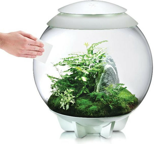 Oase biOrb Cleaning pads Magnet Aquarium