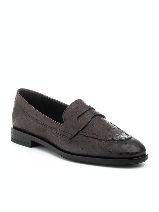 Frau Leather Women's Loafers in Brown Color