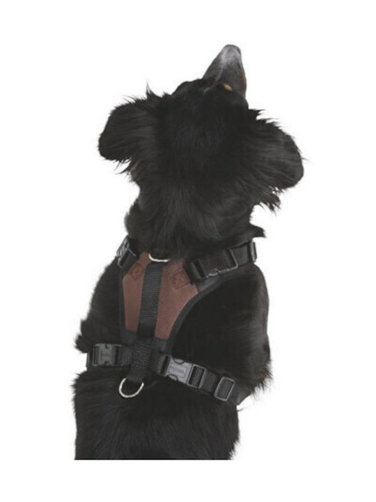 Kerbl Hundegeschirr Braun Klein 81019