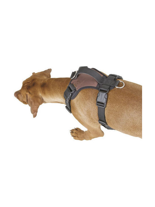 Kerbl Hundegeschirr Braun Klein 81019