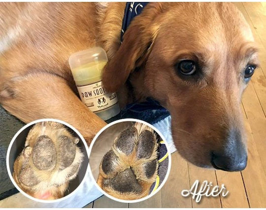 Natural Dog Organic Paw Soother Stick για Πατούσες Σκύλου 59ml