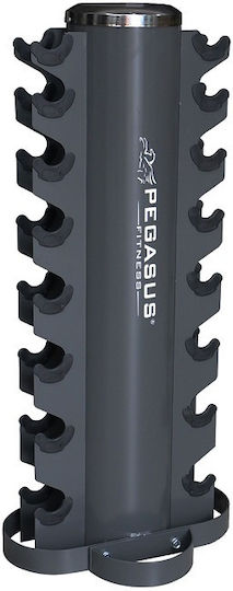 Pegasus Weight Stand for Dumbbells