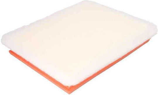 Filtron Car Air Filter for Opel Astra