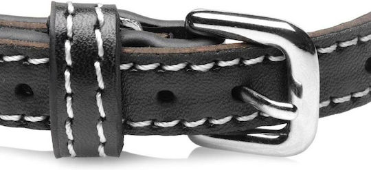 Strict Leather Collar in Black Color