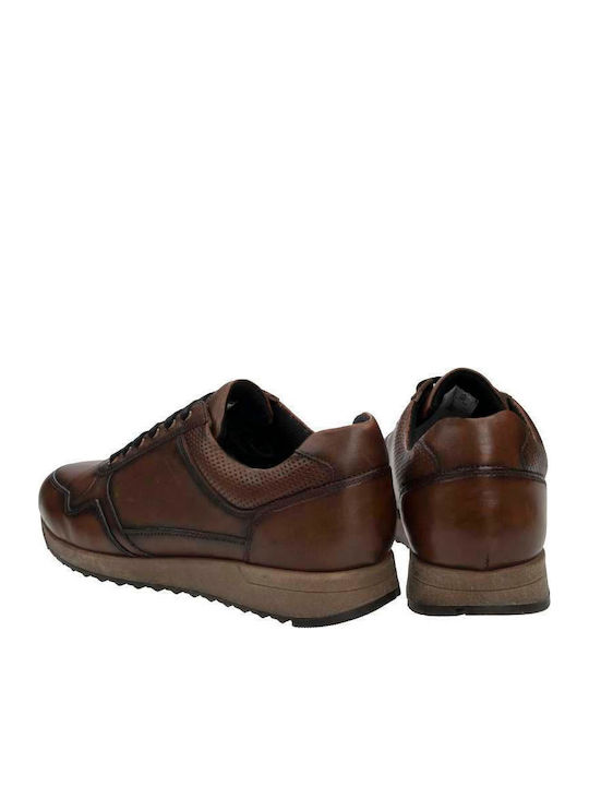 Sneakers Tabac Brown