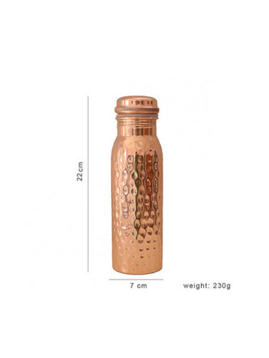 We Love The Planet Glass Water Bottle with Screw Cap Copper 600ml