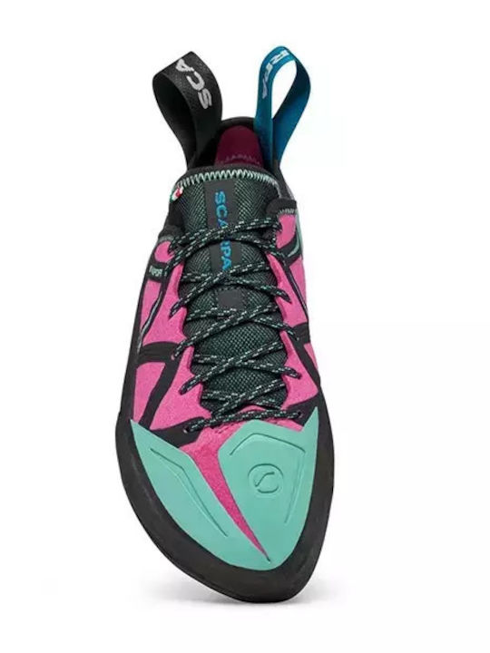 Scarpa Vapor Asymmetrisch Kletterschuhe Mehrfarbig