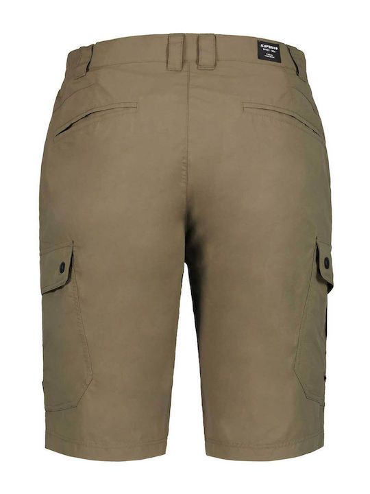 Icepeak Men's Hiking Long Trousers Green