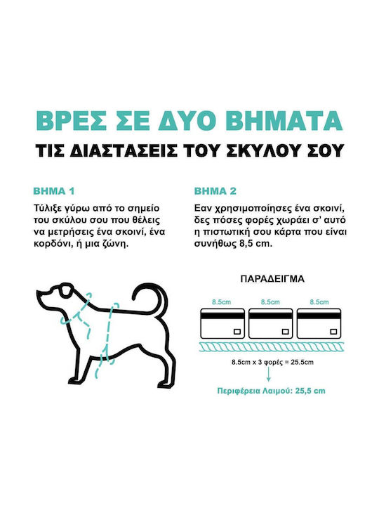 Zee-Dog NeoPro Ошийник за куче в Черен цвят Medium