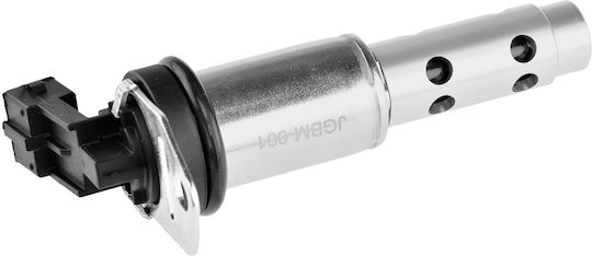 NTY Car Camshaft Valve για BMW X1 / X3 / X5 / X6 / Z4