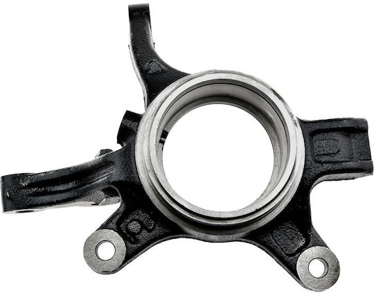 NTY Achsschenkel für Fiat Sechzehn suzuki SX4 ZZP-SU-004