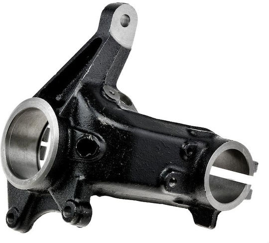 NTY Steering Knuckle for Peugeot 206 ZZP-PE-009