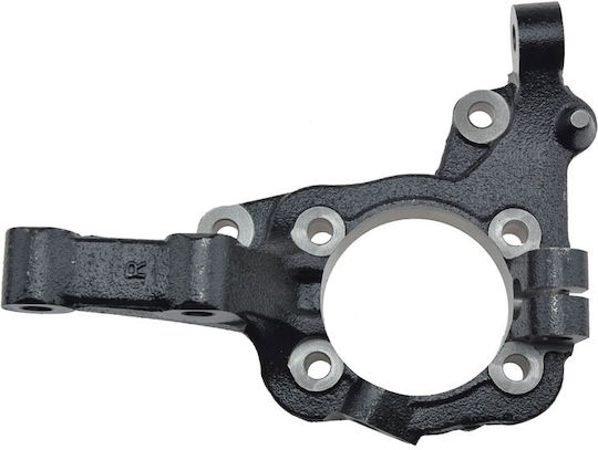 NTY Steering Knuckle for Hyundai ix55 / Santa Fe ZZP-HY-509