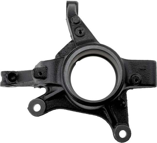 NTY Achsschenkel für Renault Erfassen ZZP-RE-018