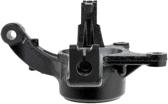 NTY Achsschenkel für Renault Erfassen ZZP-RE-018