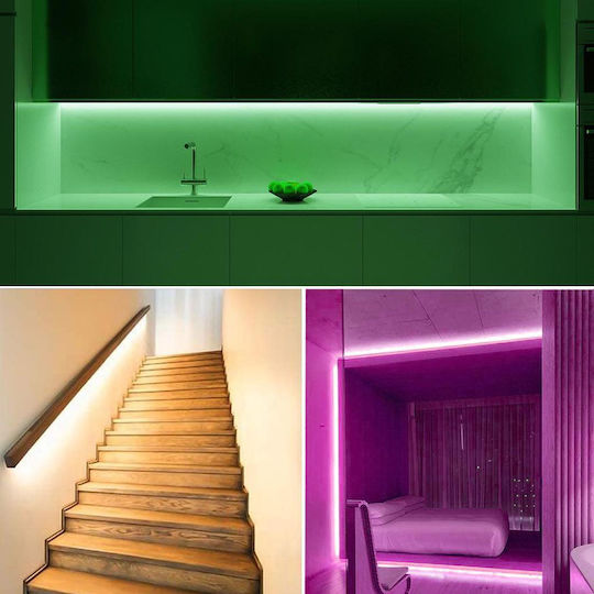Ταινία LED Neon 12V Μωβ Φως 5m Neon Flex