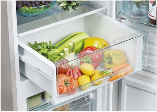 Candy Fridge-Freezer 260lt H176xW54.5xD55cm Inox CCT3L517ES