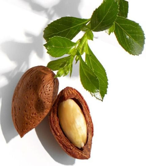 Alteya Organics Βιολογικό Έλαιο Jojoba Ψυχρής Έκθλιψης 50ml