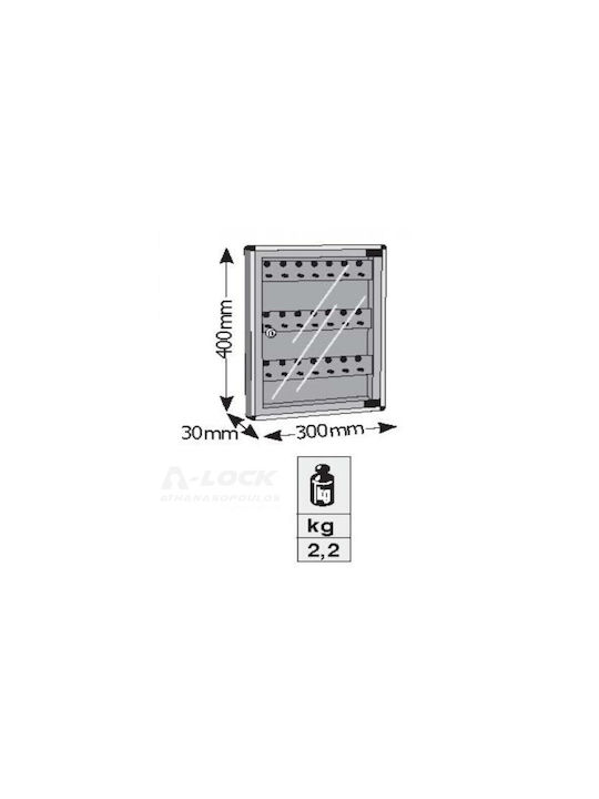 Viometal LTD Suport Chei de Perete Metalic 1524 24 Θέσεων Cafea 24 poziții cu Încuietoare 30x3x40cm