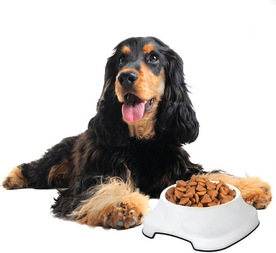 Pet Plast Art PET Plastic Bol Mâncare pentru Câine & Pisică 1lt în Culoare Bej