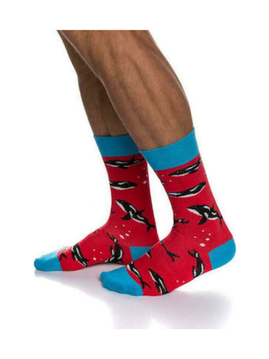 Inizio Men's Patterned Socks Red