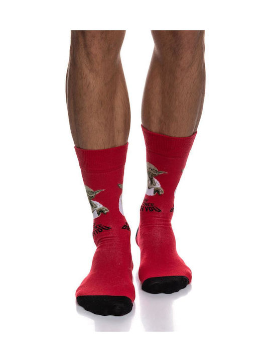 Inizio Men's Patterned Socks Red