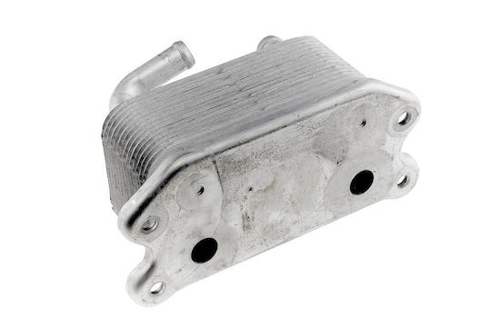 NTY Ψυγείο Λαδιού Αυτοκινήτου για Volvo C30 / S40