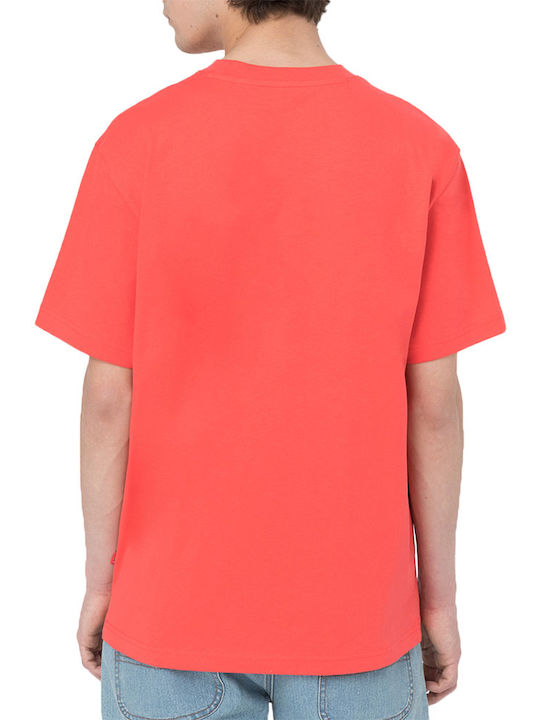 Dickies SUMMERDALE Men's Short Sleeve T-shirt Coral