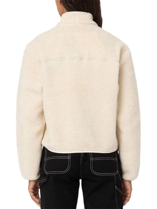 Dickies Dickies