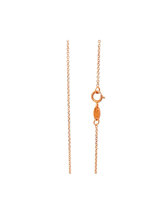 Xryseio Chain Neck Gold-plated Length 41cm