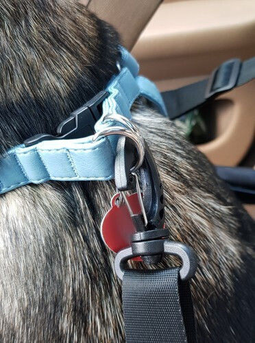Purlov Waterproof Seat Car for Dog Black