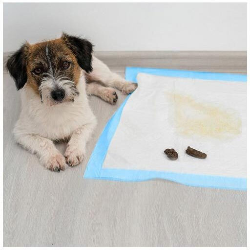 Purlov Dog Floor Diapers 60x60cm 50pcs