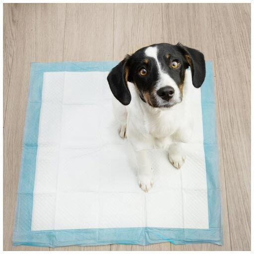 Purlov Dog Floor Diapers 60x60cm 50pcs
